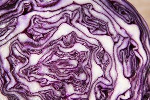 red-cabbage-73364_1280